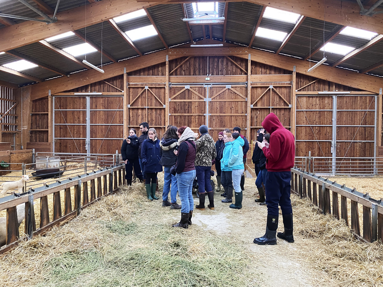 Le même jour, au lycée agricole du Chesnoy à Amilly. Les apprentis vétérinaires ont visité la bergerie de l'établissement.