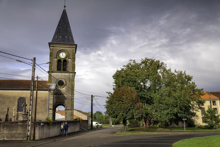 Orme de Bettange (Moselle)
Concours de l'Arbre de l'Année 2023
Région Grand-Est
Essence : Orme champêtre
Age estimé : au moins 250 ans et 450 selon la légende