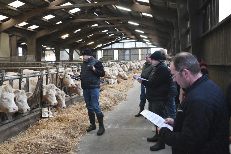 Mardi 5 décembre, à Couëtron-au-Perche. Le Syndicat des éleveurs de bovins de race charolaise de Sarthe (Sebrac 72) a organisé une journée génétique en Loir-et-Cher.