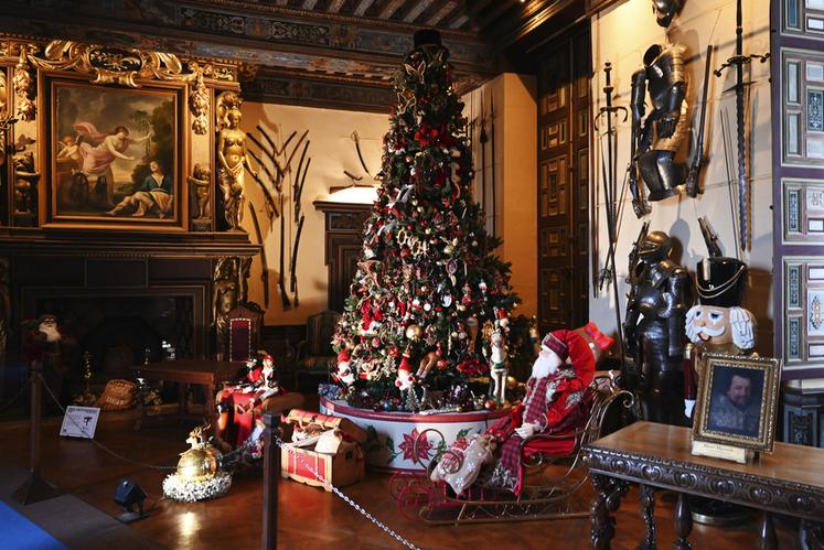Cette année encore, le château de Cheverny a mis ses plus beaux habits de Noël pour la période des fêtes. Jusqu'au 7 janvier, les visiteurs peuvent être en totale immersion au cœur de Noël. 