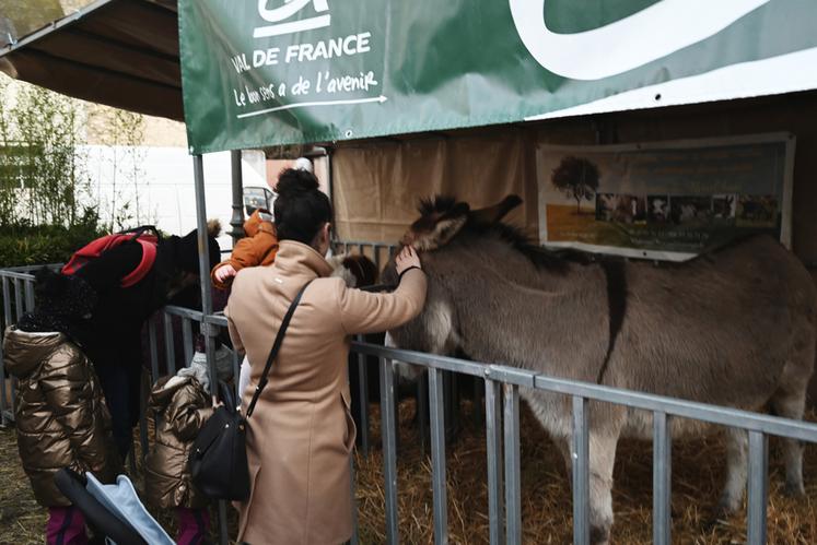 Tout le week-end, la mini-ferme a ravi petits et grands. 