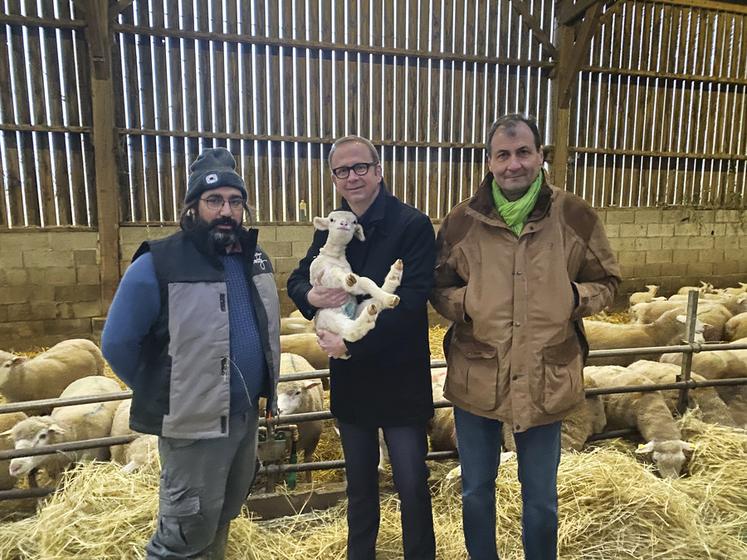 Le préfet a visité l'exploitation caprine de Sylvain Boiron et a fait la rencontre du cheptel de l'éleveur. 