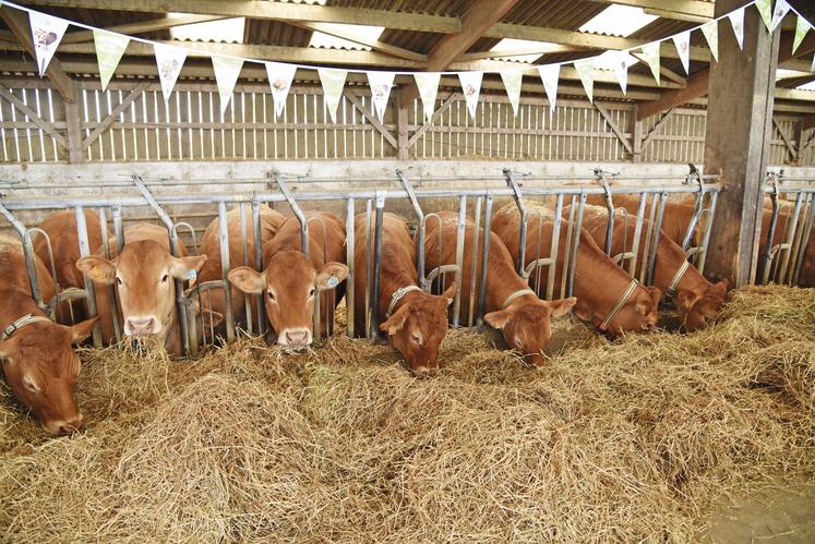 À Saint-Martin-de-Bréthencourt (Yvelines), le diagnostic de la ferme de Brandelles a été réalisé fin 2022.