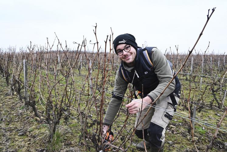 Hugo Biet, futur jeune vigneron : « La taille, c'est le début de la campagne et il faut la réaliser dans les temps ». 