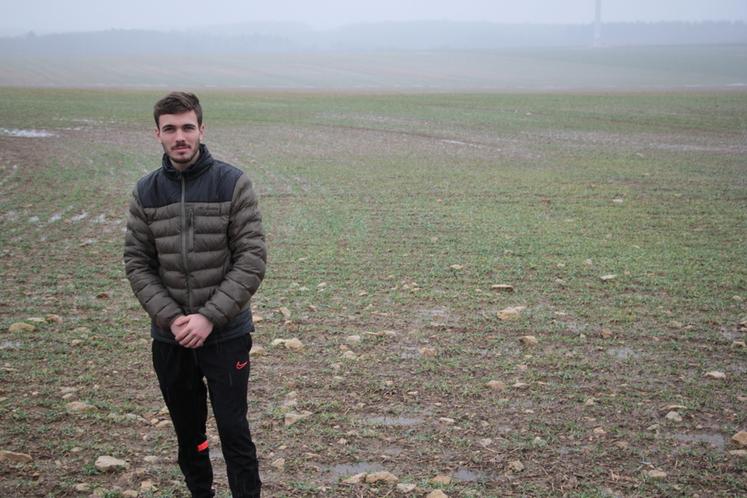 « J’ai cette parcelle dans des terres moins bonnes, très, voire trop riches en argile, hydromorphes, difficilement accessibles pour les semis de printemps. Je me demandais comment la valoriser », argumente Valentin Guibert, qui projette d’y installer un parc agrivoltaïque.