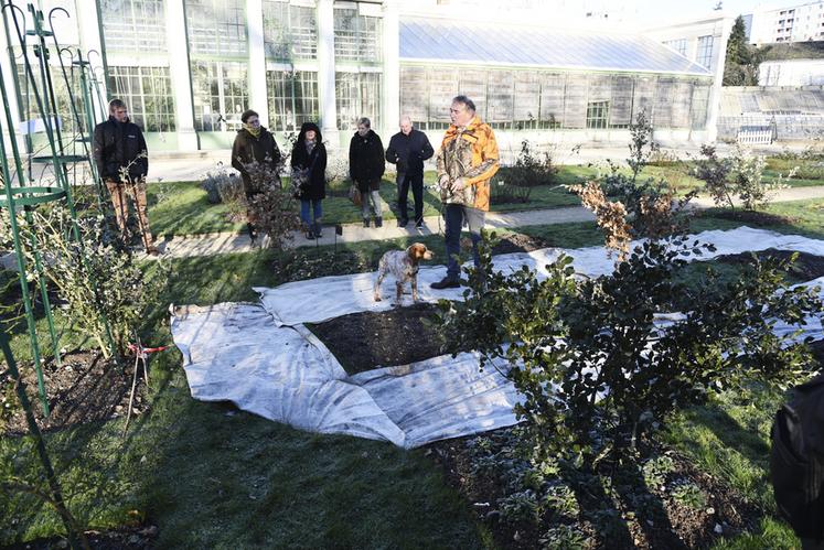 Dans une petite partie du Jardin des plantes d'Orléans, Ratatouille et son propriétaire ont fait découvrir le principe de cavage aux visiteurs. Entre distractions et odeurs diverses, la tâche n'était pas simple pour l'épagneul.