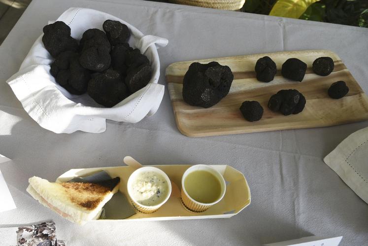 L'atelier dégustation animé par le Lycée hôtelier de l'Orléanais proposait de goûter trois mets à base de truffes, pour la modique somme de 4 euros.