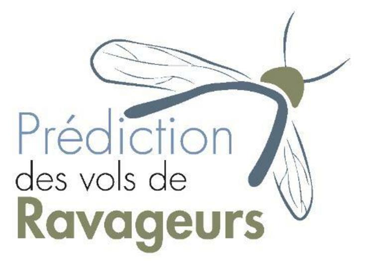 L'outil Prédiction des vols de ravageurs est disponible via le site de Terres Inovia.