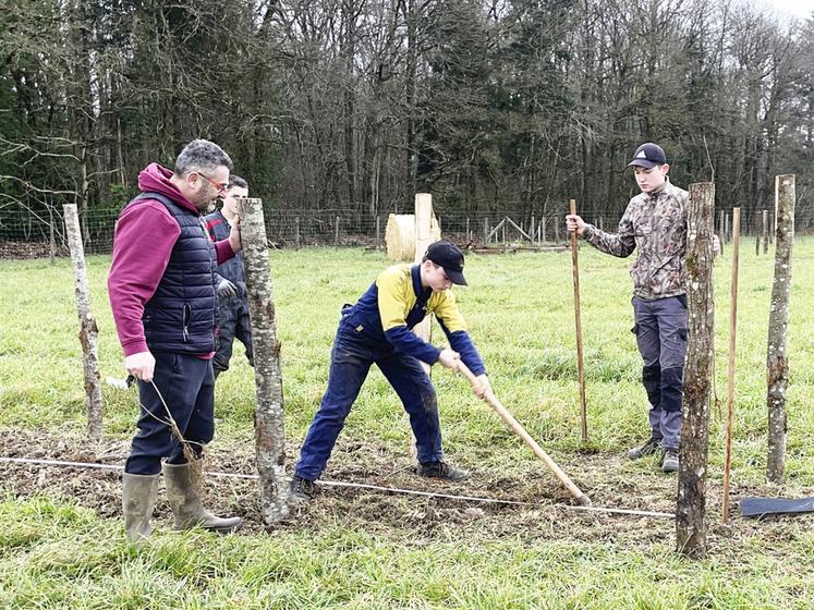 Mardi 6 février, à La Gaudaine. Les élèves de la MFR ont mené leur chantier de plantation à bien, sous l'œil de leur enseignant, Patrice Marbeuf.