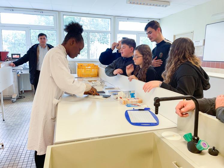 Jeudi 8 février, à Sours. Les collégiens ont été invités à déguster des chocolats ayant différents pourcentages de cacao.