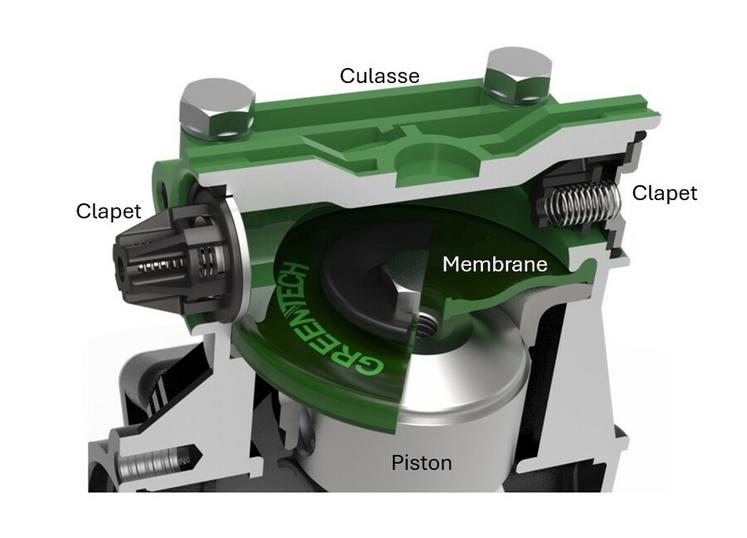 Vue en coupe de la pompe à pistons-membranes d'un pulvérisateur.