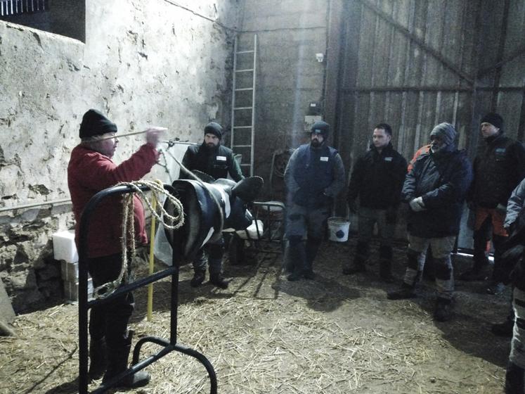 Différentes techniques de contention ont été utilisées.