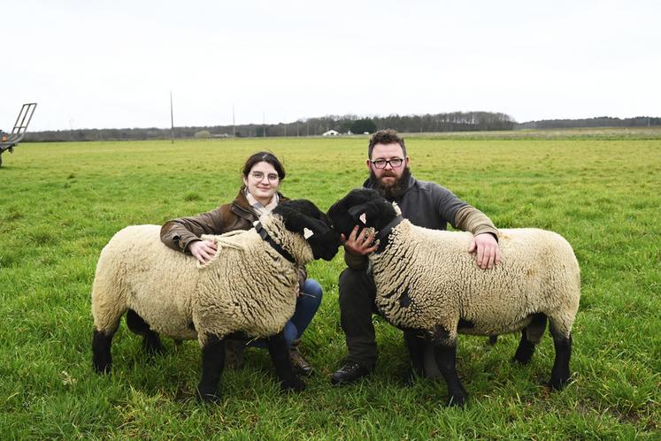 Flavien et Fanny Bouchard, de l'EARL du Bouc noir à Couddes, présenteront, lundi 26 février, deux jeunes béliers de race suffolk au concours ovin du Sia.