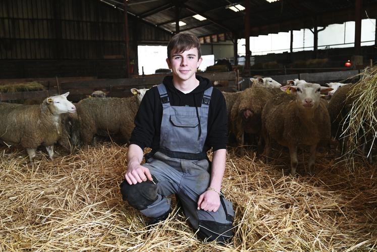 Lukas Petit, élève en 2e année de BTS Productions animales au lycée agricole de Vendôme, concourra lors des Ovinpiades du Salon de l'agriculture lundi 26 février. 