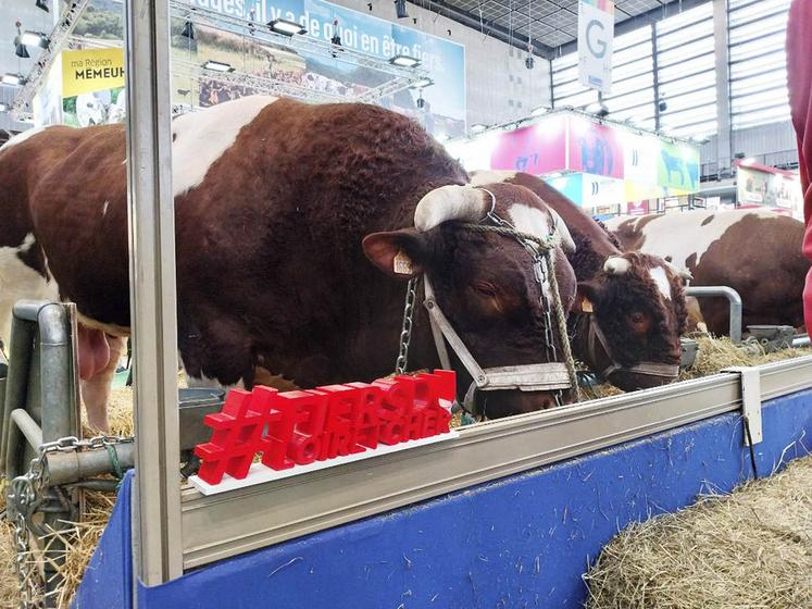 Plusieurs animaux et éleveurs de Loir-et-Cher étaient présents. La délégation de Loir-et-Cher est partie à leur rencontre. 