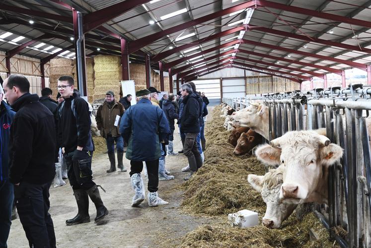 Jeudi 22 février, à Muides-sur-Loire. Plus de 200 éleveurs de la région Centre-Val de Loire s'étaient donné rendez-vous au Gaec Vaucher pour la journée régionale bovins allaitants.