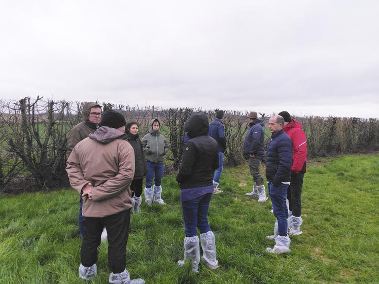 En février, une formation sur l'installation et l'entretien de parcours arborés en élevage a été dispensée par les conseillères de la chambre d'Agriculture de région Île-de-France.