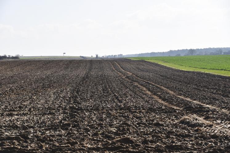 Après le retard pris dans les travaux des champs, de nombreuses parcelles destinées à l'orge de printemps ne sont pas encore emblavées.
