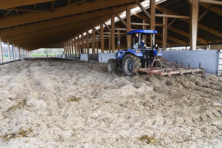 Cette zone de couchage de 100 mètres de long et 11 mètres de large est une aire compostée moitié miscanthus moitié copeaux de bois.