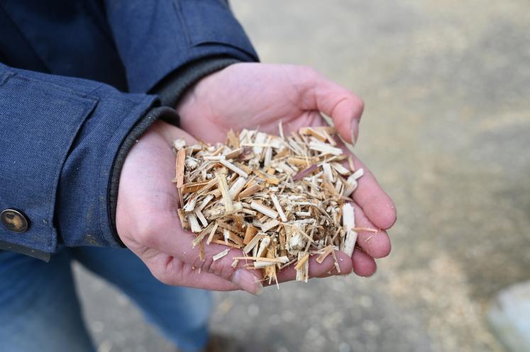 La litière est composée à moitié de miscanthus et à moitié de copeaux de bois.