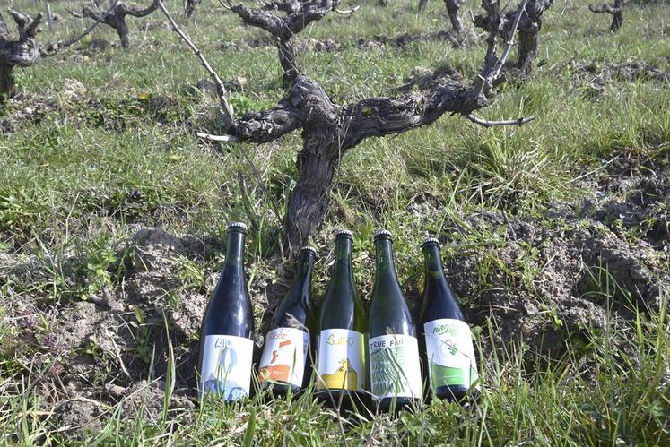 Au Domaine La Taupe, les vins sont embouteillés avec des capsules en inox et non pas avec des bouchons de liège. Selon Bertjan Mol, les capsules permettent une meilleure conservation du vin. 