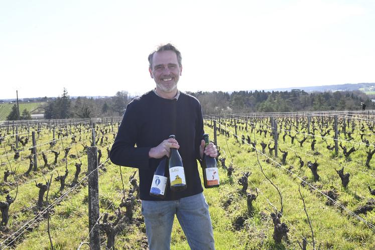 Bertjan Mol, d'origine hollandaise, est gérant du Domaine La Taupe, à Thésée, qu'il a repris depuis 2017. Il cultive 8,5 hectares de vignes bio.