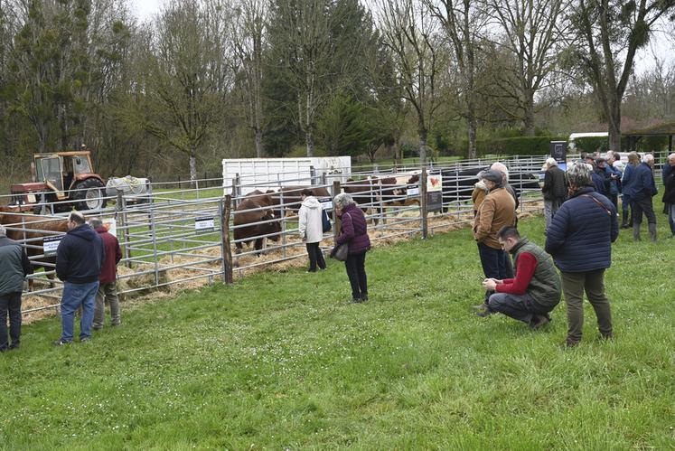 Lundi 18 mars, à Pruniers-en-Sologne. La SDA 41 a organisé la troisième édition de la foire aux bestiaux.
