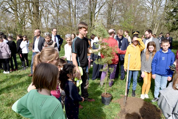 En cette Journée internationale des forêts, deux arbres ont été plantés dans l'arboretum situé juste en face des locaux de l'École Du Breuil.