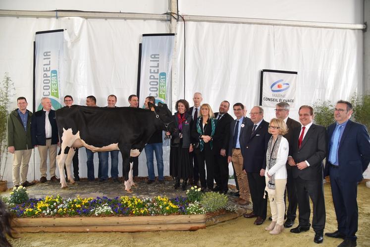 Nouveauté de cette 55e édition, un concours interrégional de vaches laitières. Le président de Coopelia et éleveur à Châteaubleau, Nicolas Dalmard, a présenté à la délégation une de ses vaches. 70 vaches laitières ont concouru.