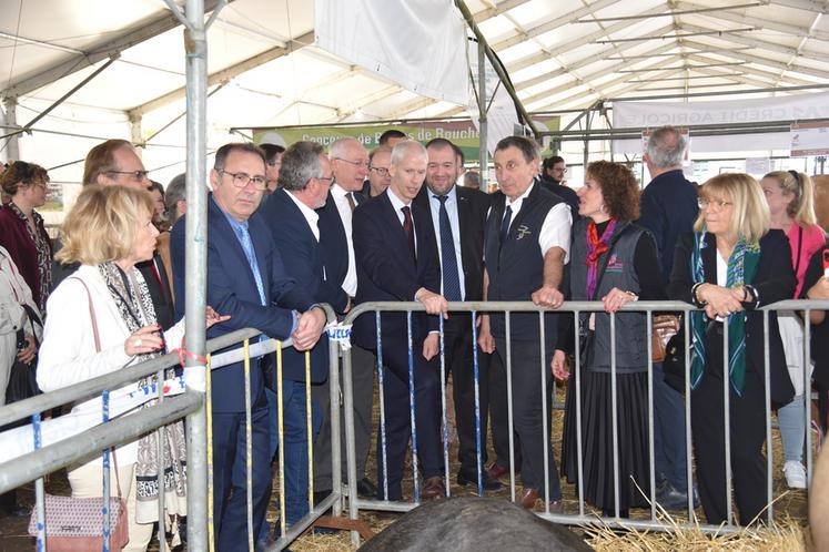 L'exposition de bovins, un incontournable.