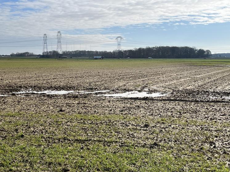 En sud-Essonne, comme dans toute l'Île-de-France, les fortes pluies incessantes ont impacté les cultures et les semis. (mars 2024)