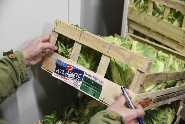 Salades, pommes, carottes, champignons, poireaux, kiwis… Après une dizaine de produits contrôlés, le Auchan Drive réalise un sans-faute. 