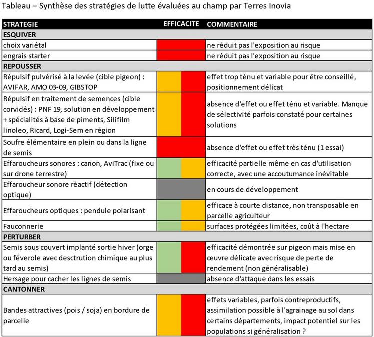 Synthèse des stratégies de lutte évaluées au champ par Terres Inovia.