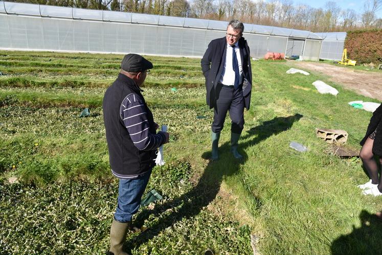 Explication des particularités de la culture du cresson, pour laquelle l'association des cressiculteurs demande la reconnaissance IGP.