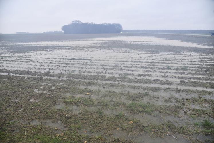 À la suite des intempéries, la DDT a accepté les demandes de dérogation portées par la FNSEA 41 sur l’ensemble du département.