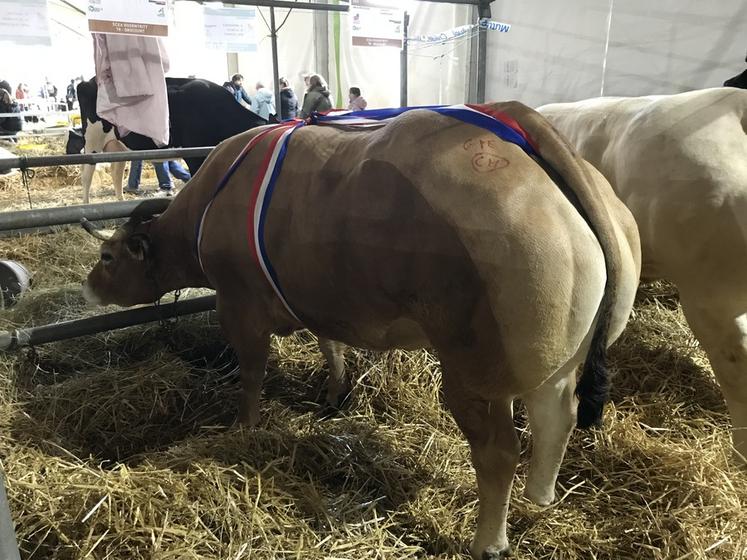 L'une des lauréates franciliennes présentée par la SCEA Rosentritt à Drocourt (Yvelines).