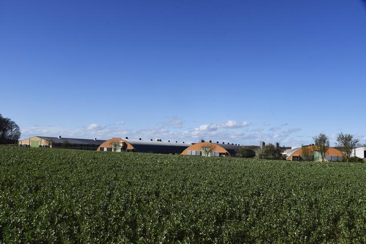 Jeudi 28 mars, à Dammarie-sur-Loing. Les quatre poulaillers (un neuf et trois rénovés) de l'exploitation de la famille Le Fur. 