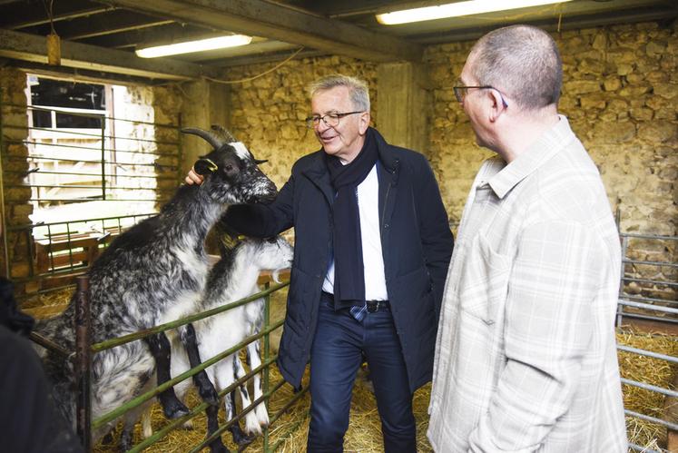 La visite s'est poursuivie chez l'éleveur Nicolas Maucourt et ses chèvres de Lorraine.