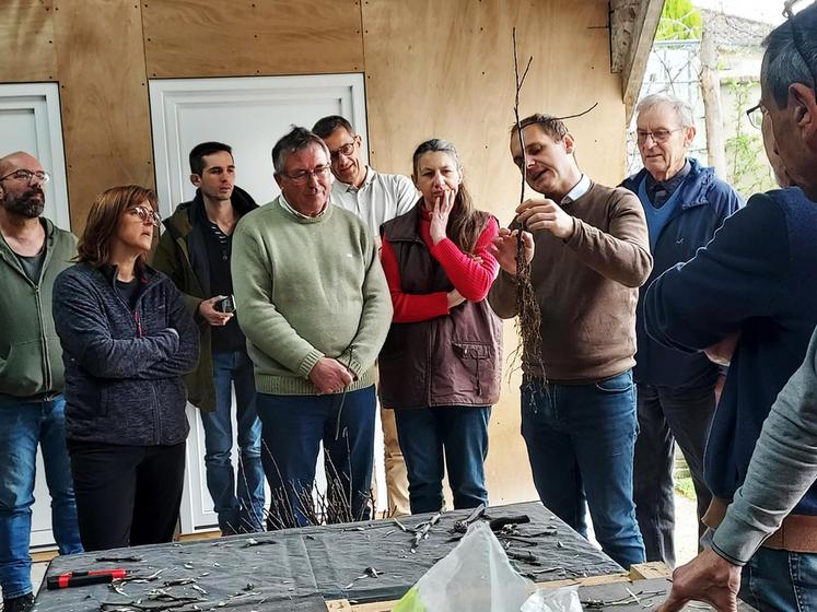 Samedi 6 avril, à Ingré. Durant la formation, Christophe Sotteau dévoile une technique de greffage sur un jeune arbre.