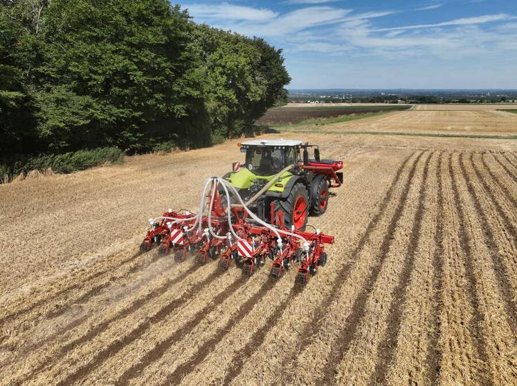 En ne travaillant que des bandes de terre, le strip-till permet de garder de la matière organique en surface pour éviter l'évaporation et lutter contre l'érosion.