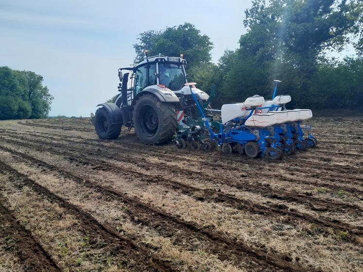 Le passage du strip-till en combinaison avec un semoir monograine demande d'intervenir sur un sol bien ressuyé.