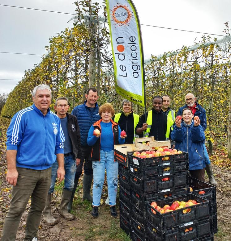 Les glanages solidaires permettent de valoriser les pertes au champ pour l'agriculteur, tout en profitant aux associations d'aide alimentaire.