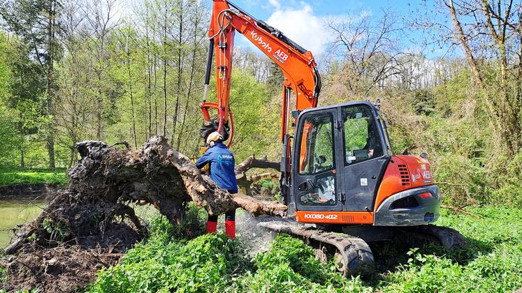 Avec la succession de crues hivernales, le Loir au niveau du Croc-Marbot était entièrement bouché avant l'intervention du Smar Loir 28.