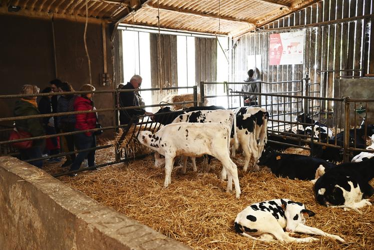 Des visites libres ont eu lieu toute la journée pour permettre aux curieux venus en famille de découvrir l'exploitation dans sa globalité. 