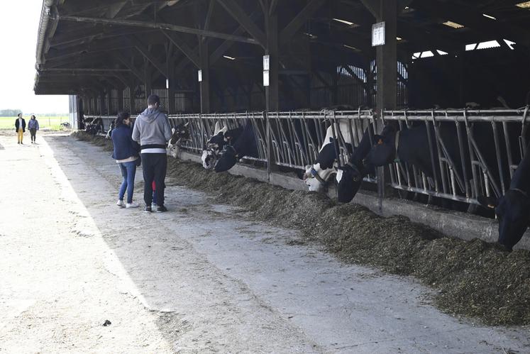 Couples, parents et enfants ont profité de ce week-end de portes ouvertes pour s'immerger totalement au sein des exploitations agricoles proches de chez eux, pour le plus grand plaisir de tous.