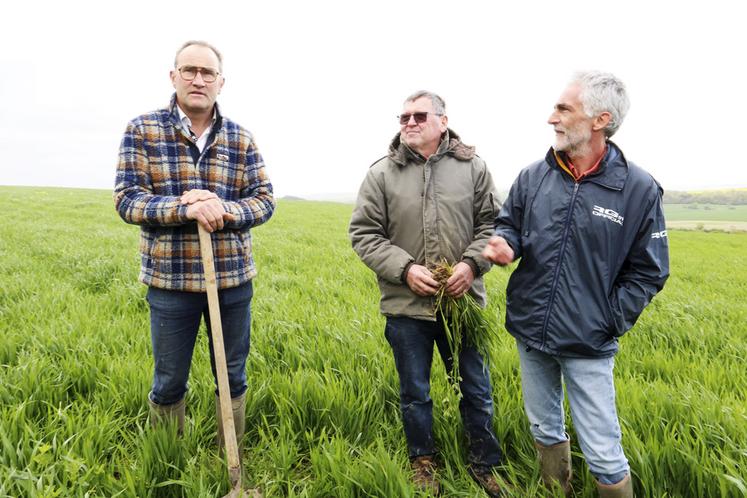 Le concours « Cultiv ta biodiv » a été lancé le mardi 16 avril à Bouleuse dans la Marne. Il a lieu du 26 avril au 26 mai* et vise à communiquer sur les pratiques vertueuses pour l’environnement.