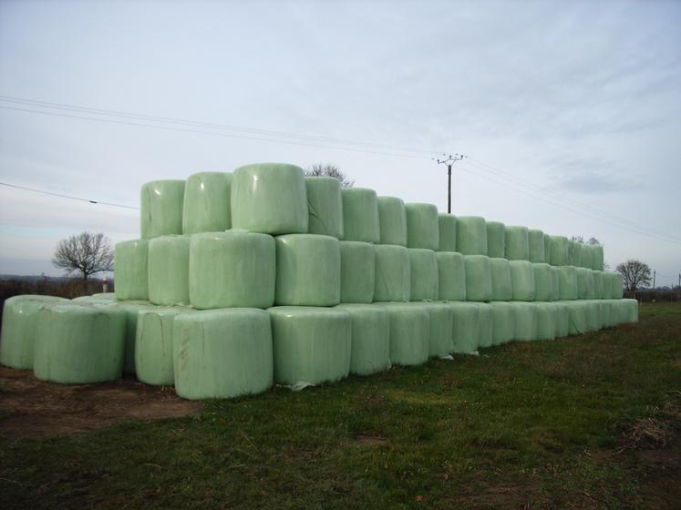 Un film vert réfléchit plus la lumière qu’un noir, ce qui limite les variations de température sous la bâche.