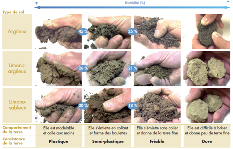 Il est important de travailler des sols ressuyés, à consistance friable sur l’horizon ou le profil travaillé. Cette grille de décision vous aidera dans l’évaluation de cette consistance.