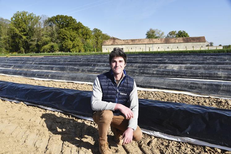 La Chapelle-la-Reine, jeudi 25 avril. Augustin Vecten au milieu de l'aspergeraie. En conditions optimales, une asperge peut prendre 7 cm /jour. 