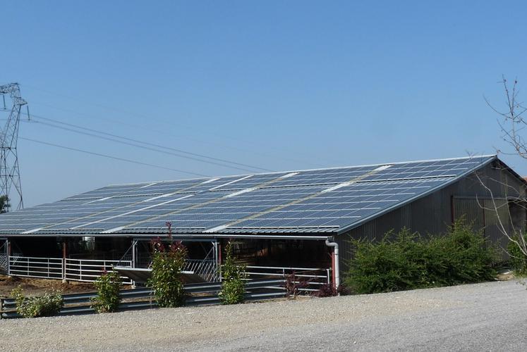 La Chambre d’agriculture de Loir-et-Cher propose aux agriculteurs de les accompagner dans leurs projets agrivoltaïques. 